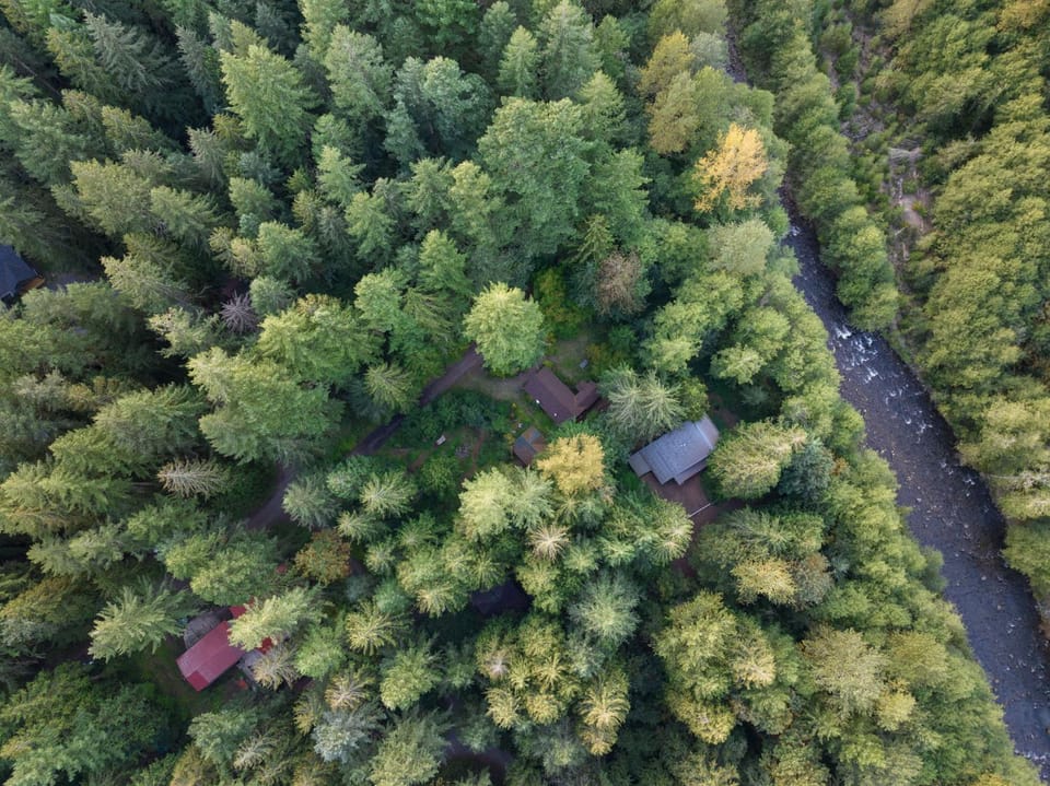 Whispering Pines - Cabin w hot tub Cabin in Mount Hood Village