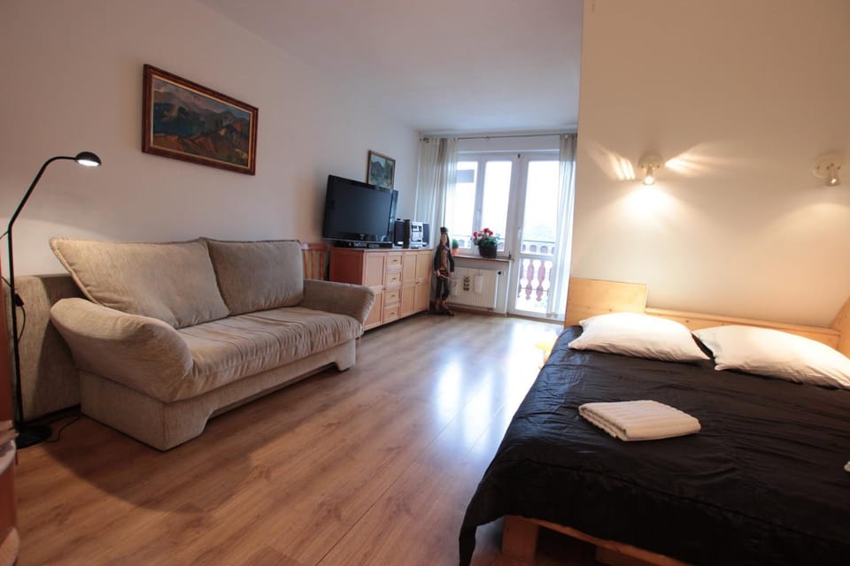 Living room, Photo of the whole room, Seating area
