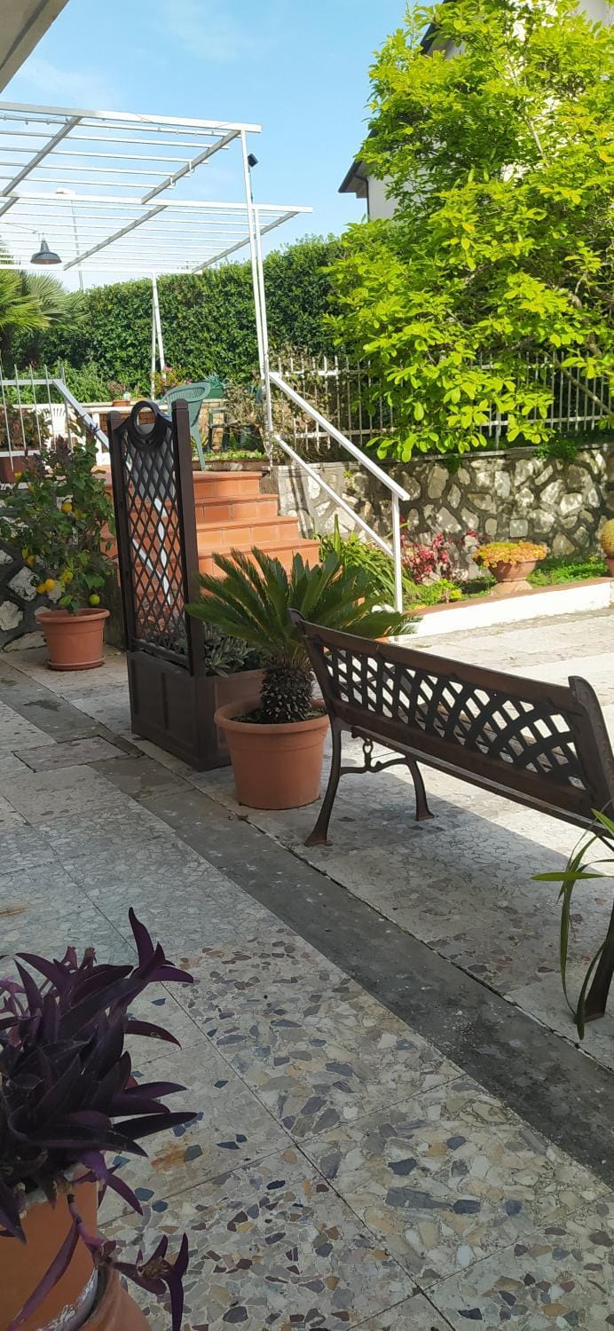 Garden, Garden view