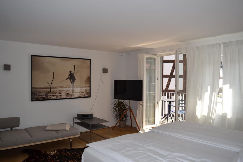 Communal lounge/ TV room, Bed, TV and multimedia, Photo of the whole room, Evening entertainment, Bedroom