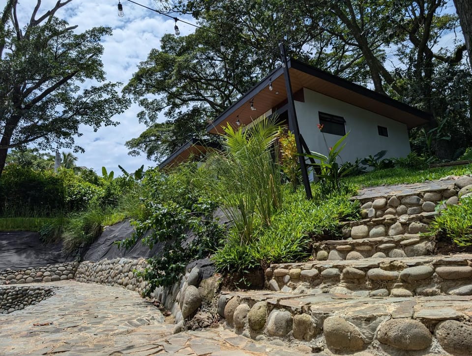 Property building, Garden view