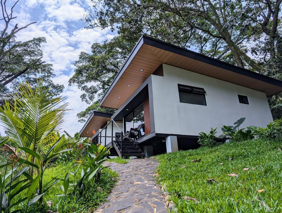 Property building, Garden, Garden view