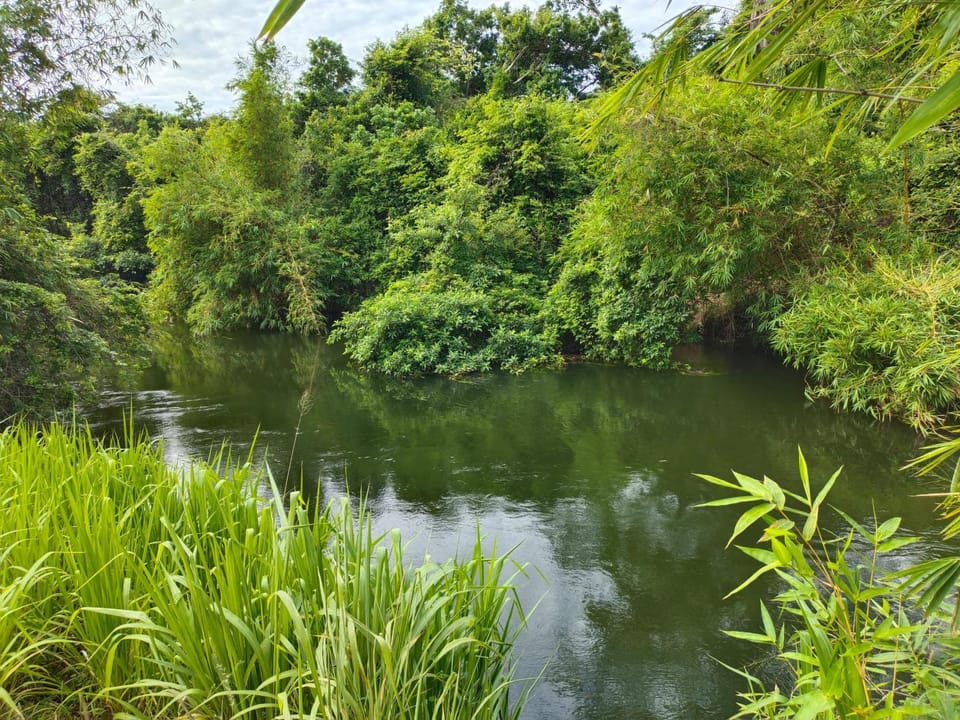River view