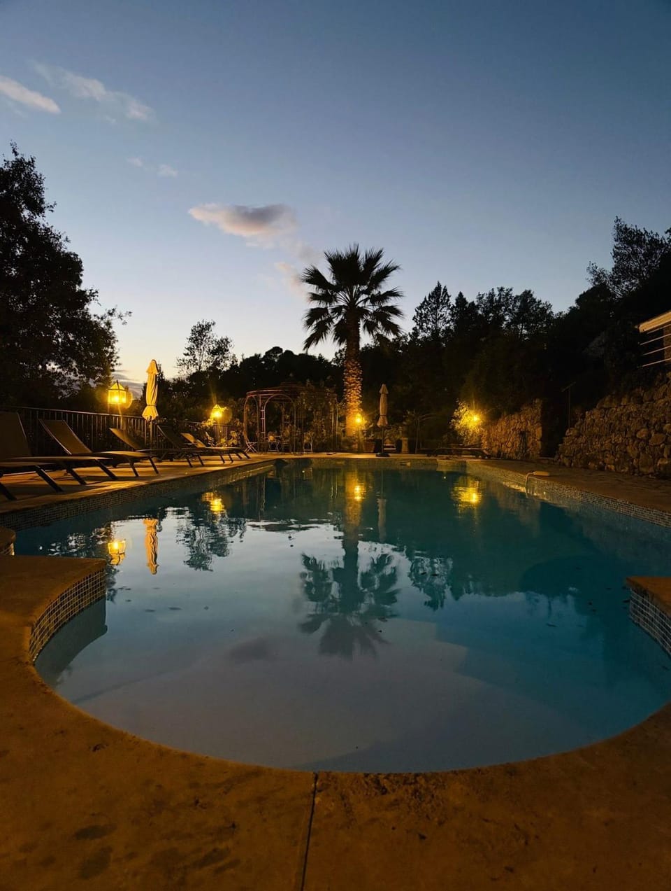Night, Natural landscape, Garden, Garden view, Pool view, Swimming pool, Swimming pool