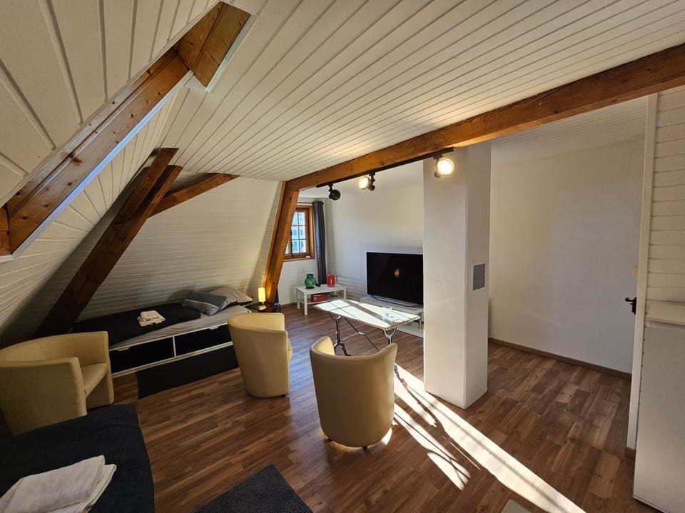 TV and multimedia, Photo of the whole room