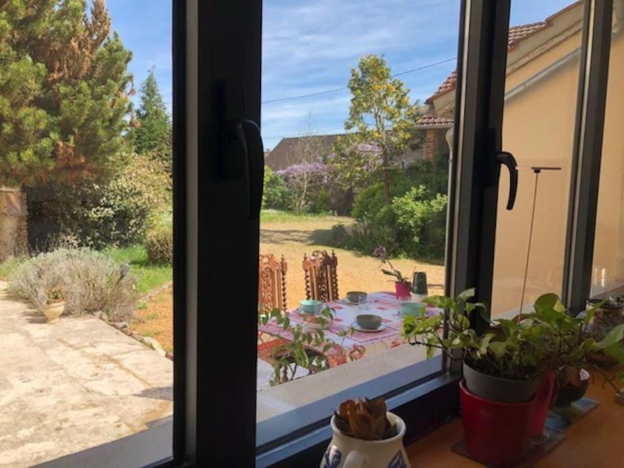Garden view