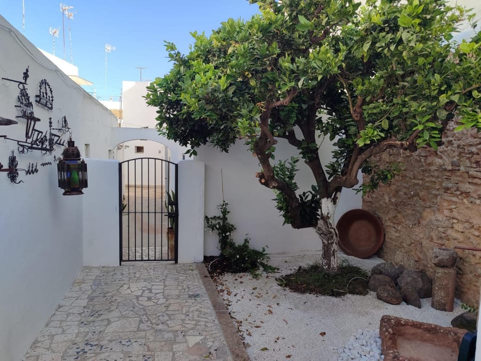 Property building, Patio, Garden
