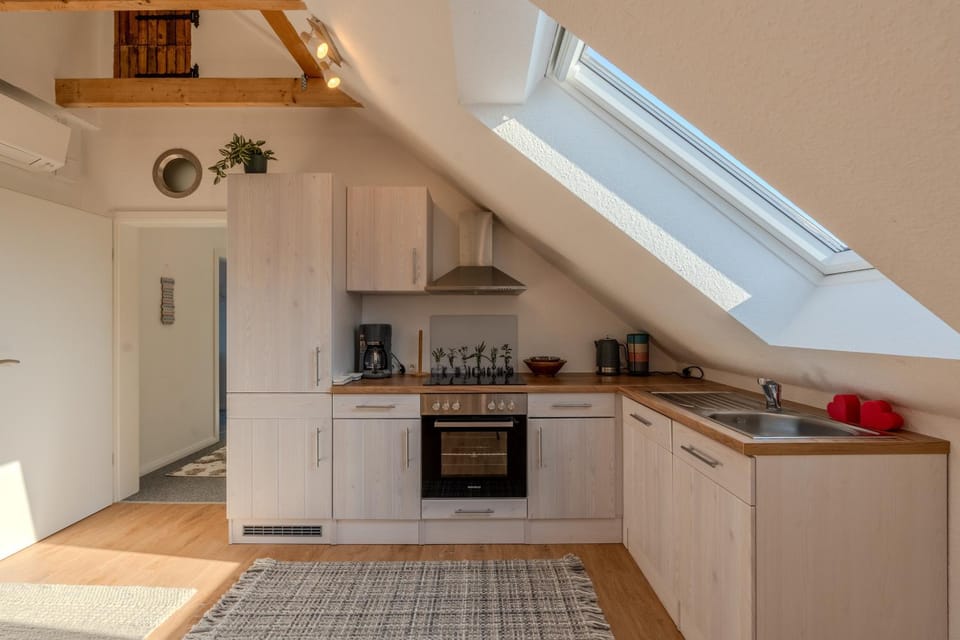 Kitchen or kitchenette, dishwasher, stove