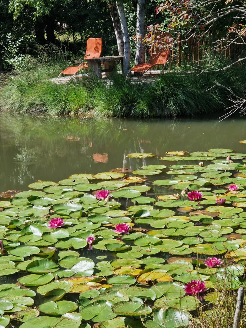 Fishing, Garden
