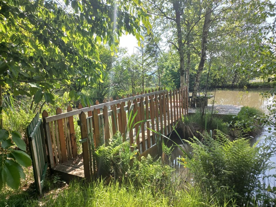 Spring, Day, Natural landscape, Fishing, Garden, Garden view