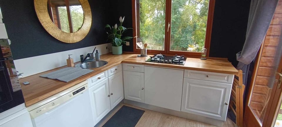 Kitchen or kitchenette, dishwasher, stove