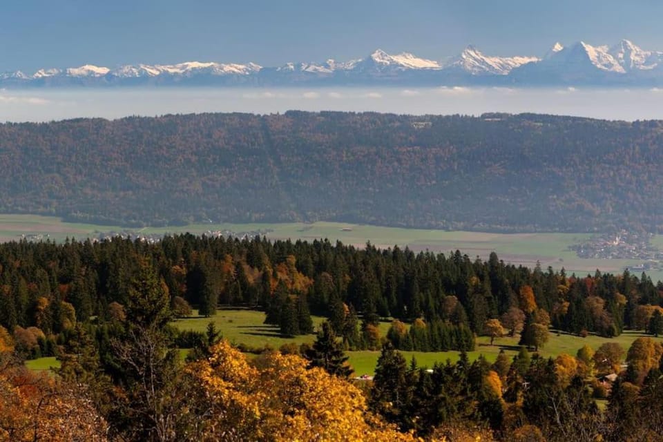 Nearby landmark, Natural landscape