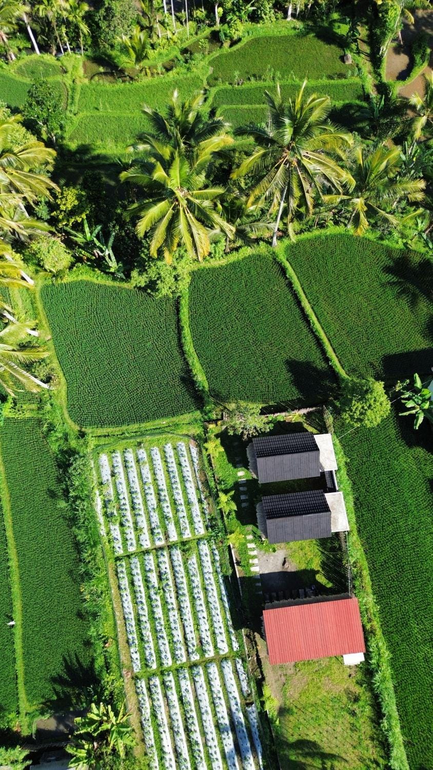 Day, Natural landscape, Bird's eye view