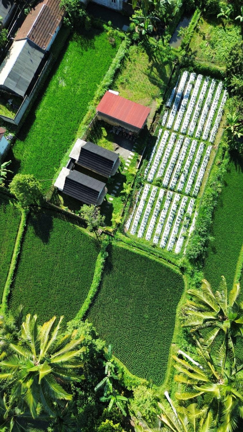 Day, Bird's eye view, Garden view