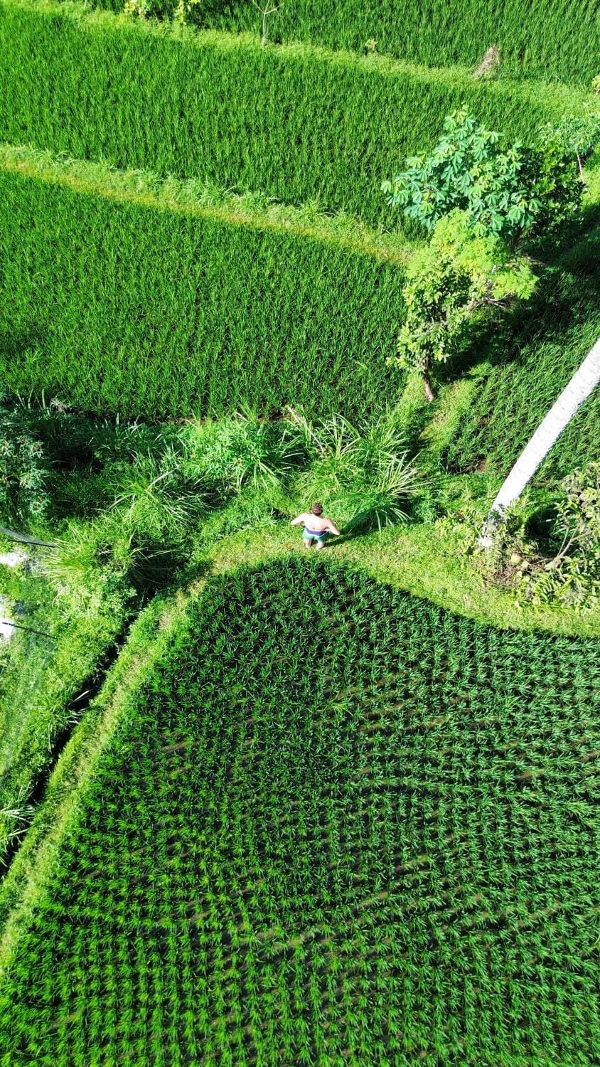 Day, Natural landscape, Bird's eye view