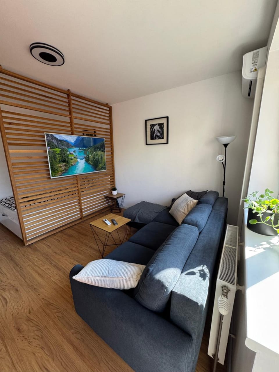 TV and multimedia, Living room, flat iron, air conditioner