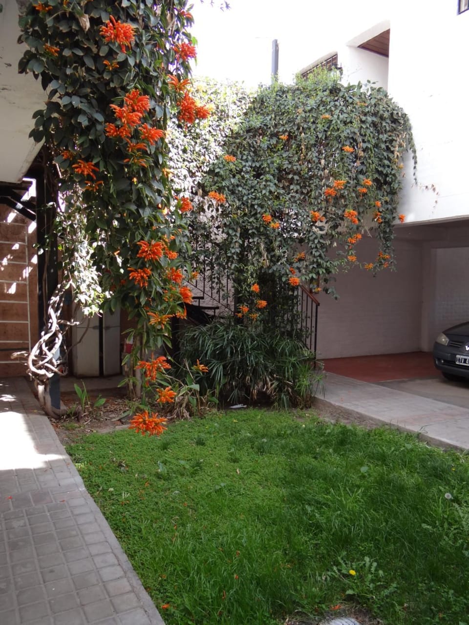 Property building, Spring, Day, Garden, Garden, Garden view
