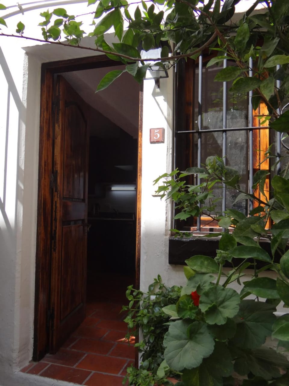 Garden view