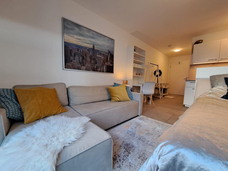 Living room, Photo of the whole room, Seating area