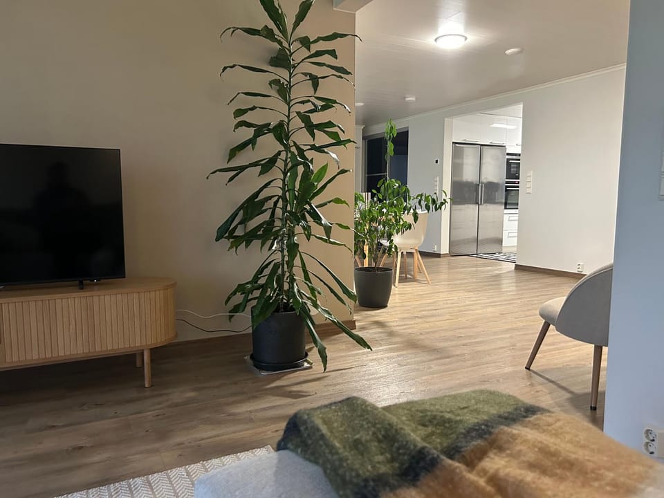 Communal lounge/ TV room, TV and multimedia, Evening entertainment