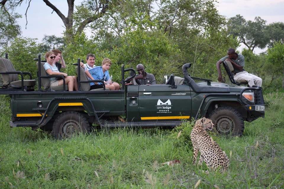 Activities, Animals