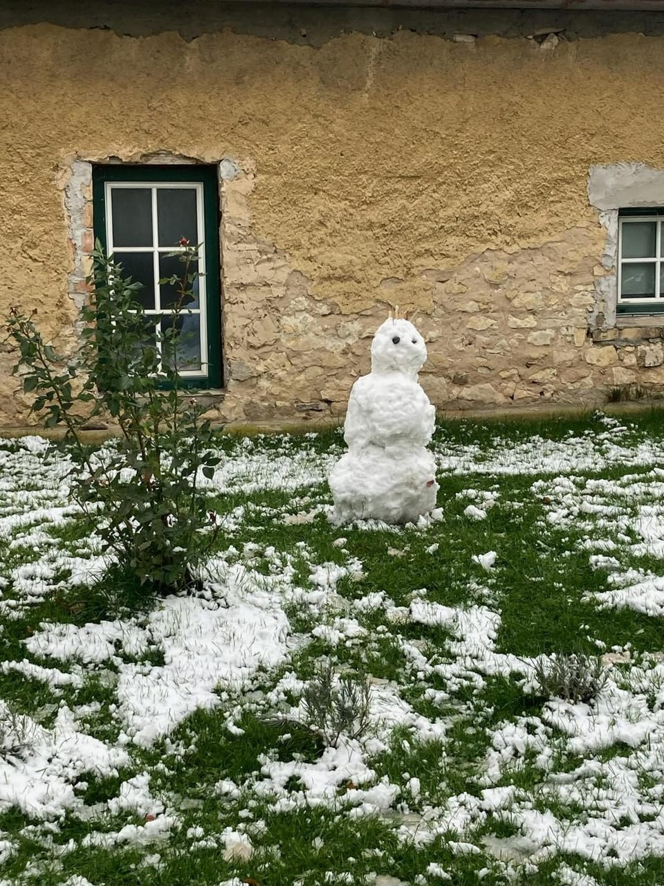Winter