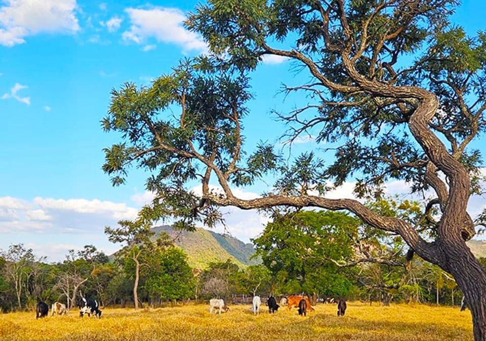 Natural landscape, Mountain view