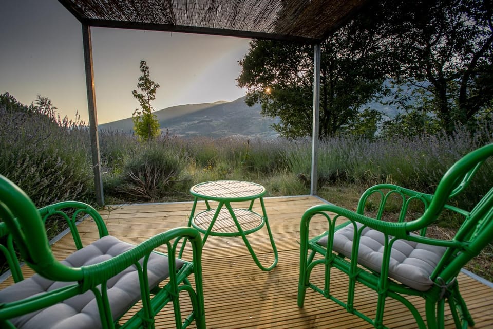 Casa de Campo De Torneiros Country House in Portugal