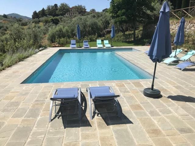 Swimming pool, Swimming pool