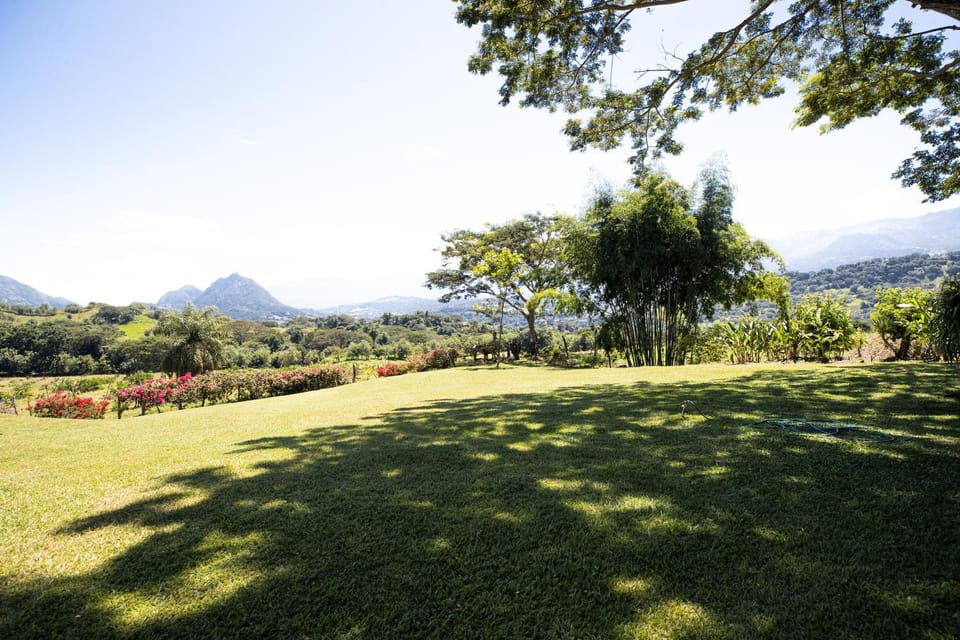 Natural landscape, Garden, Garden view