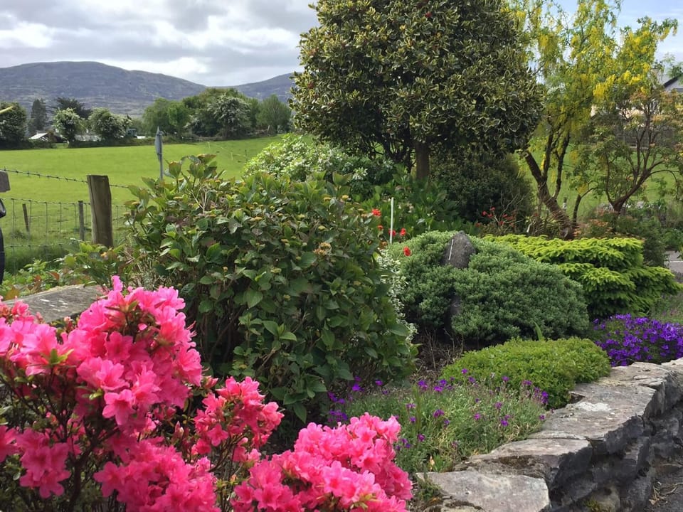 Laburnum B&B Bed and Breakfast in Kenmare