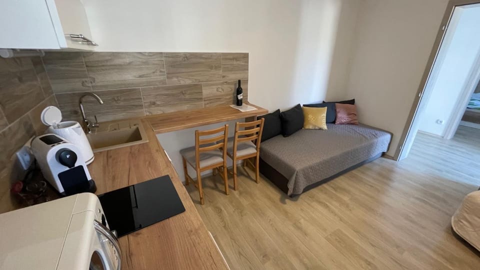 Kitchen or kitchenette, kitchen