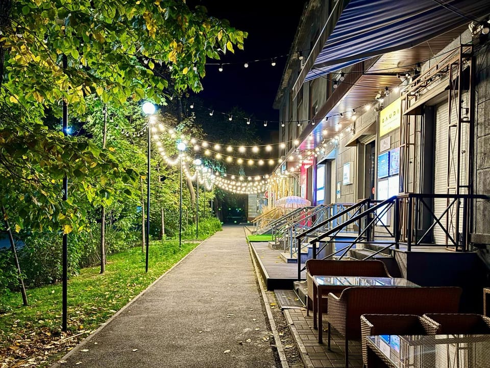 Property building, Night, Garden view