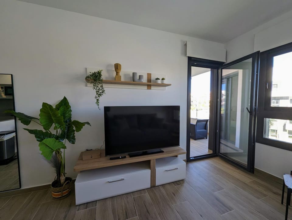 TV and multimedia