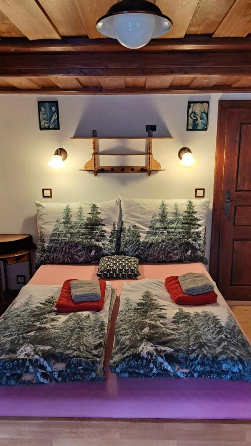 Penzion pod Železným Vrchem Bed and Breakfast in Saxony