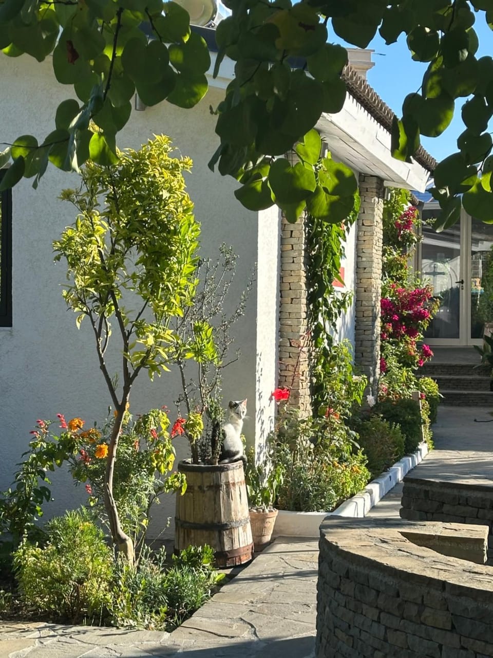 Property building, Spring, Garden, Garden view