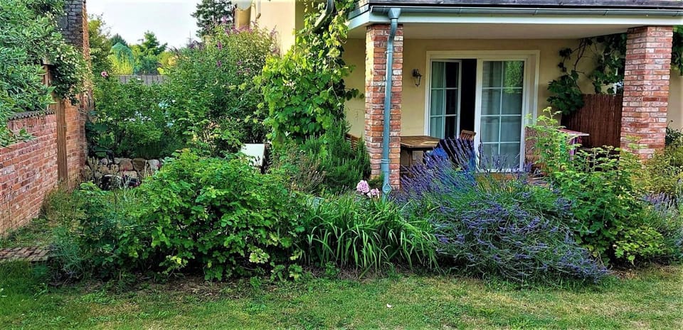 Property building, Garden, Balcony/Terrace