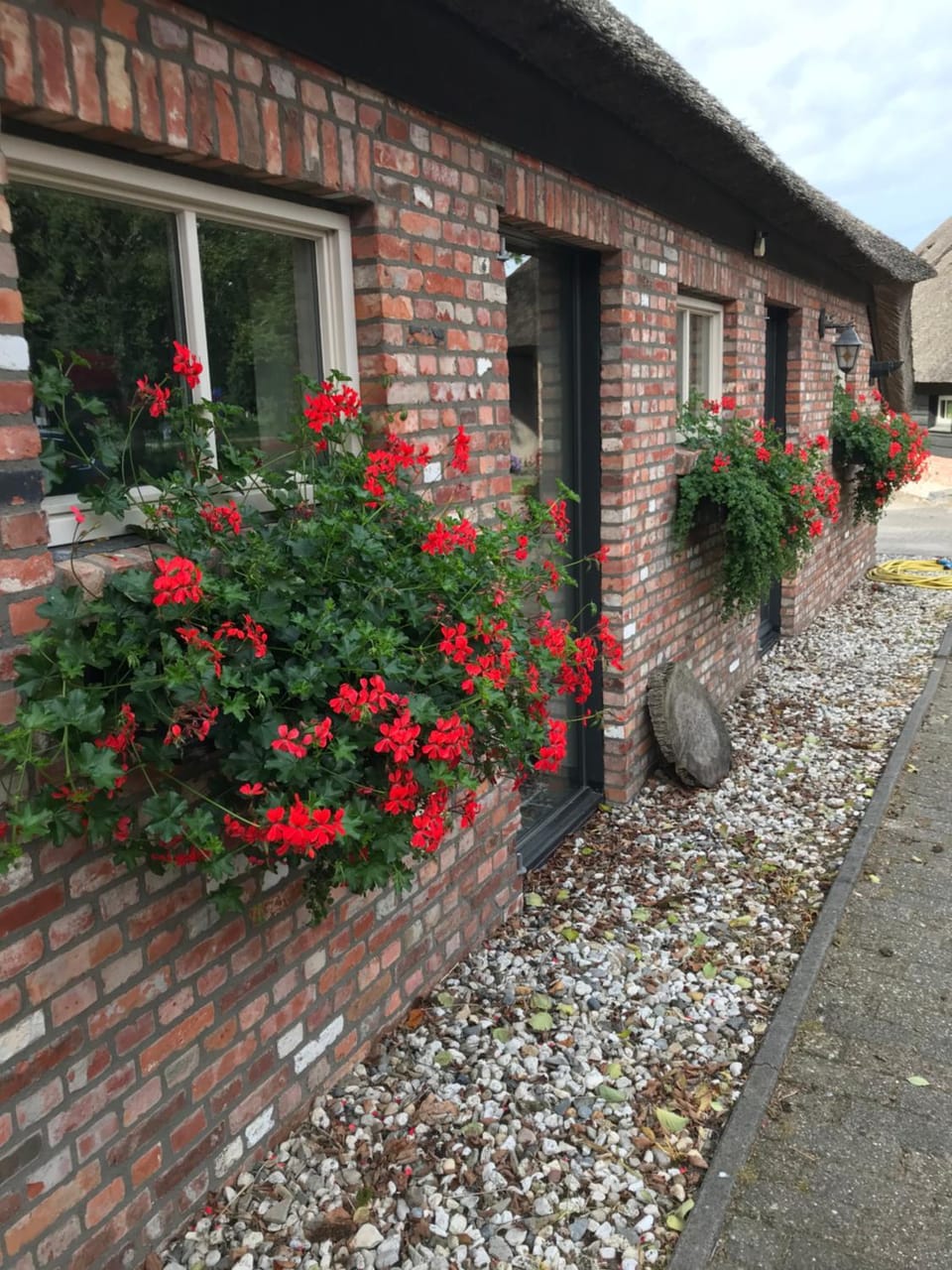 Property building, Summer