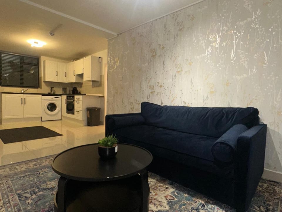 Kitchen or kitchenette, Living room, washing machine