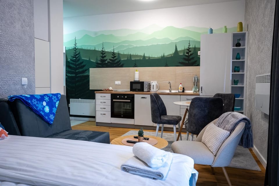 Bed, TV and multimedia, Kitchen or kitchenette, Living room, Photo of the whole room, Seating area, Dining area, Bedroom