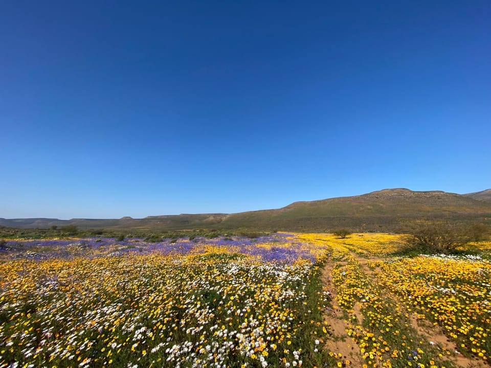 Spring, Day, Natural landscape, Mountain view
