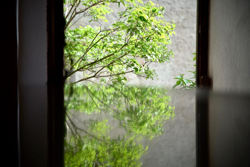 Decorative detail, Garden view