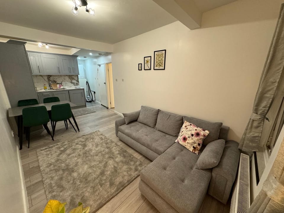 Bed, Kitchen or kitchenette, Living room, Photo of the whole room, Seating area, Dining area