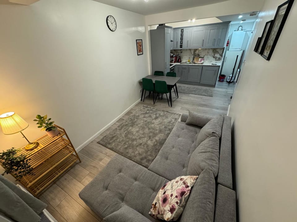Kitchen or kitchenette, Living room, Photo of the whole room, Seating area