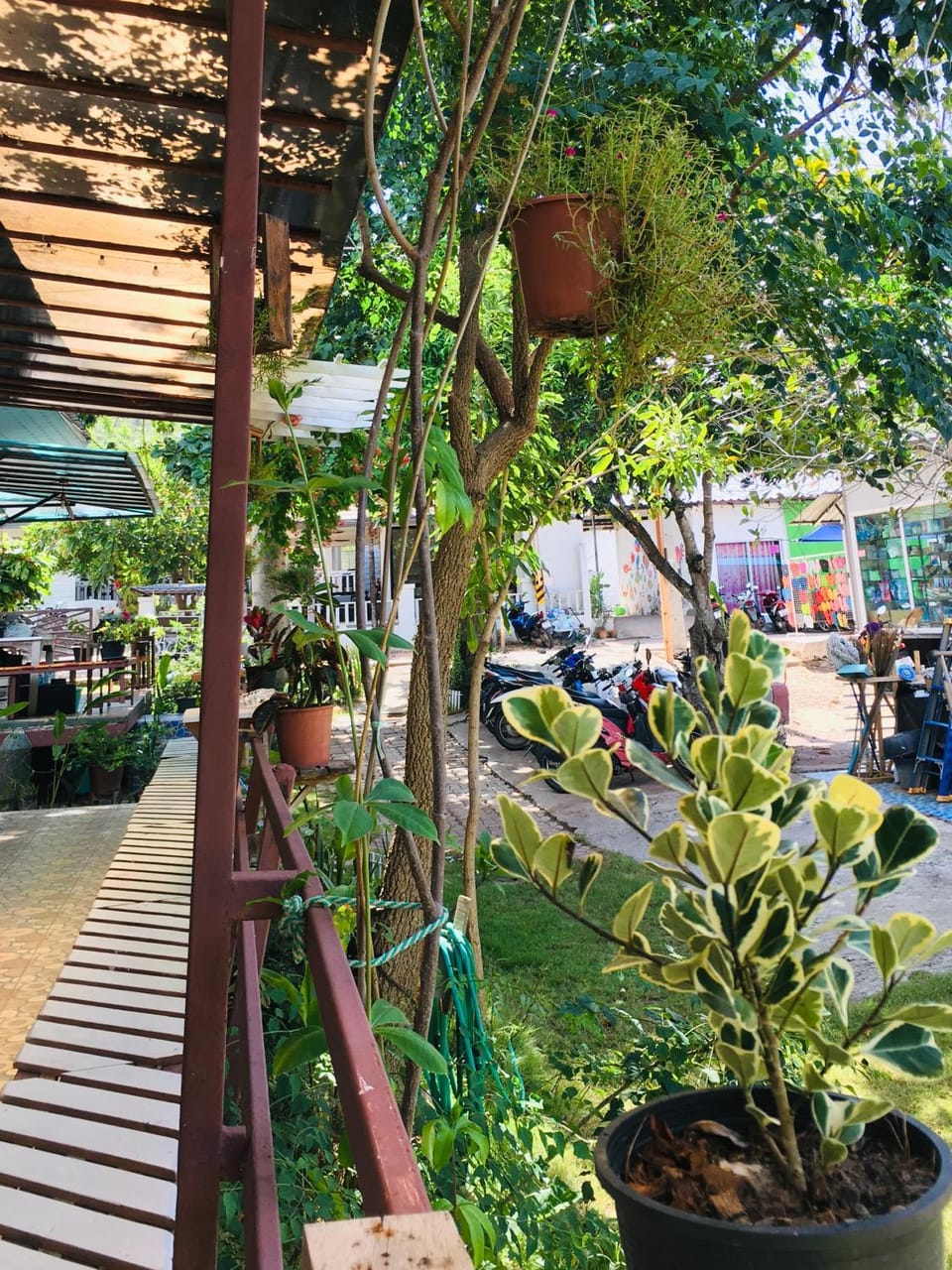 Garden view