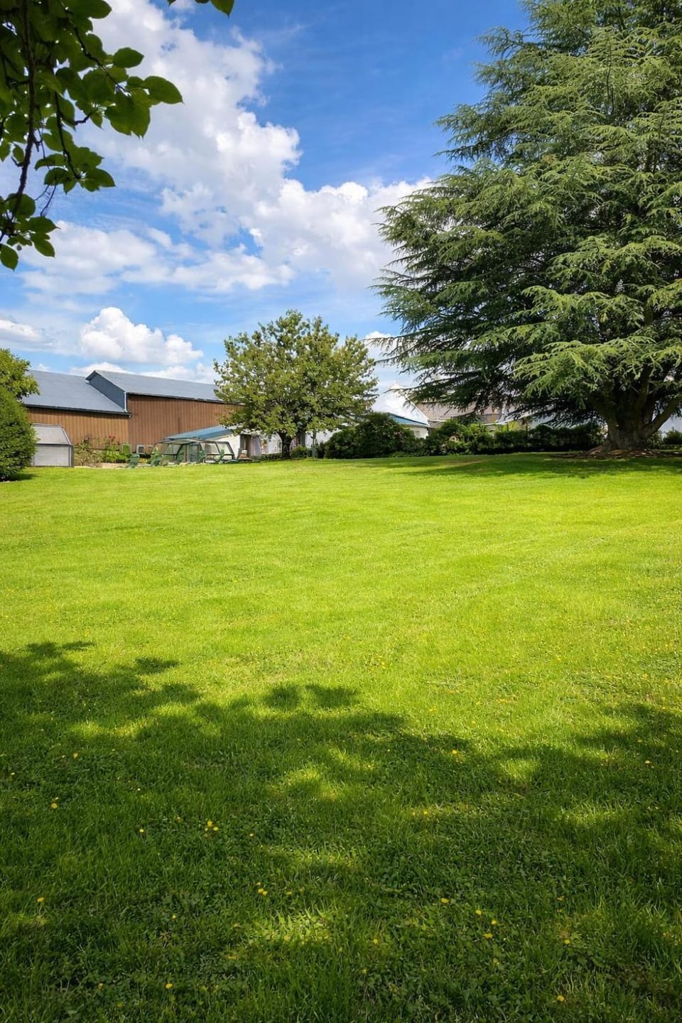 Day, Natural landscape, Garden, Garden view