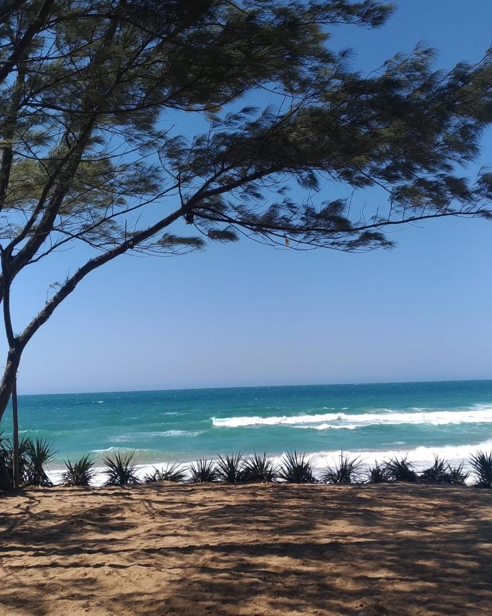 Natural landscape, Beach, Hiking