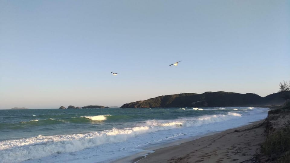 Natural landscape, Beach