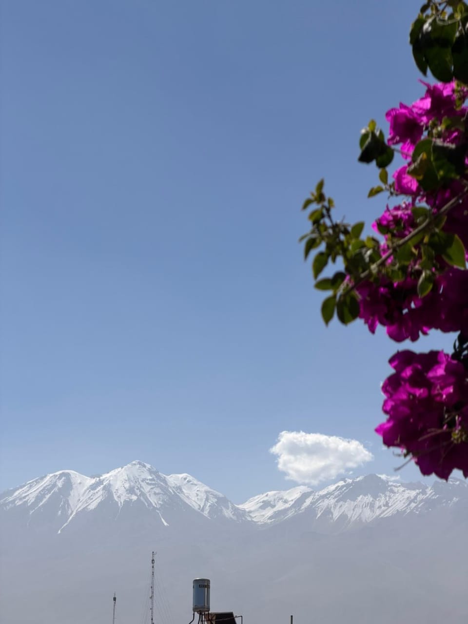 Spring, Natural landscape, View (from property/room), Mountain view
