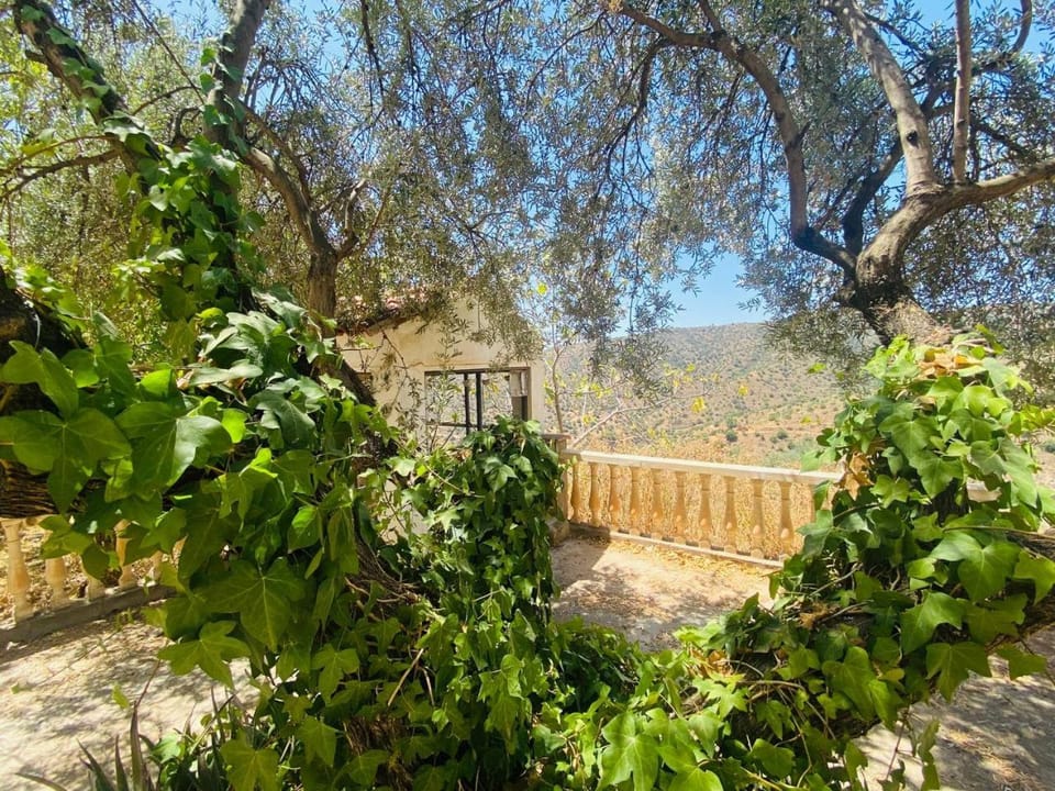 Garden, Garden view